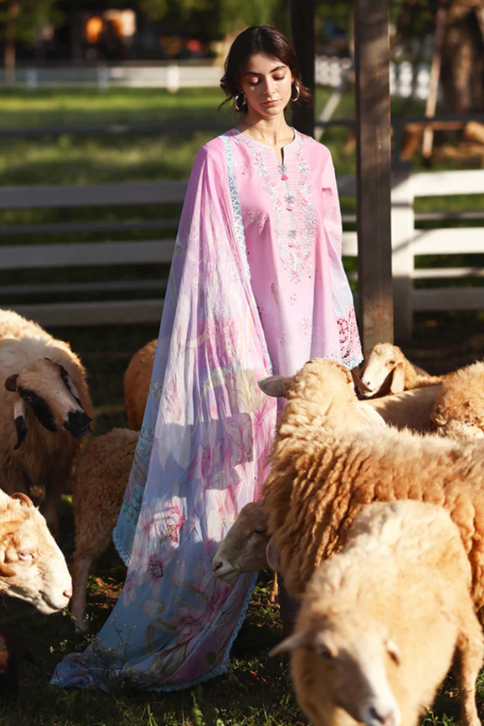 Faint Blossom – Ombre Chikan Embroidered Ensemble