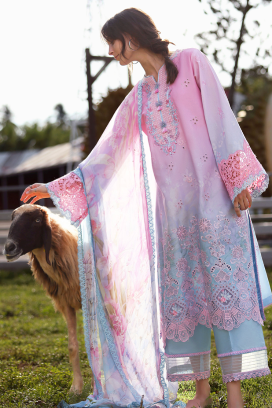 Faint Blossom – Ombre Chikan Embroidered Ensemble